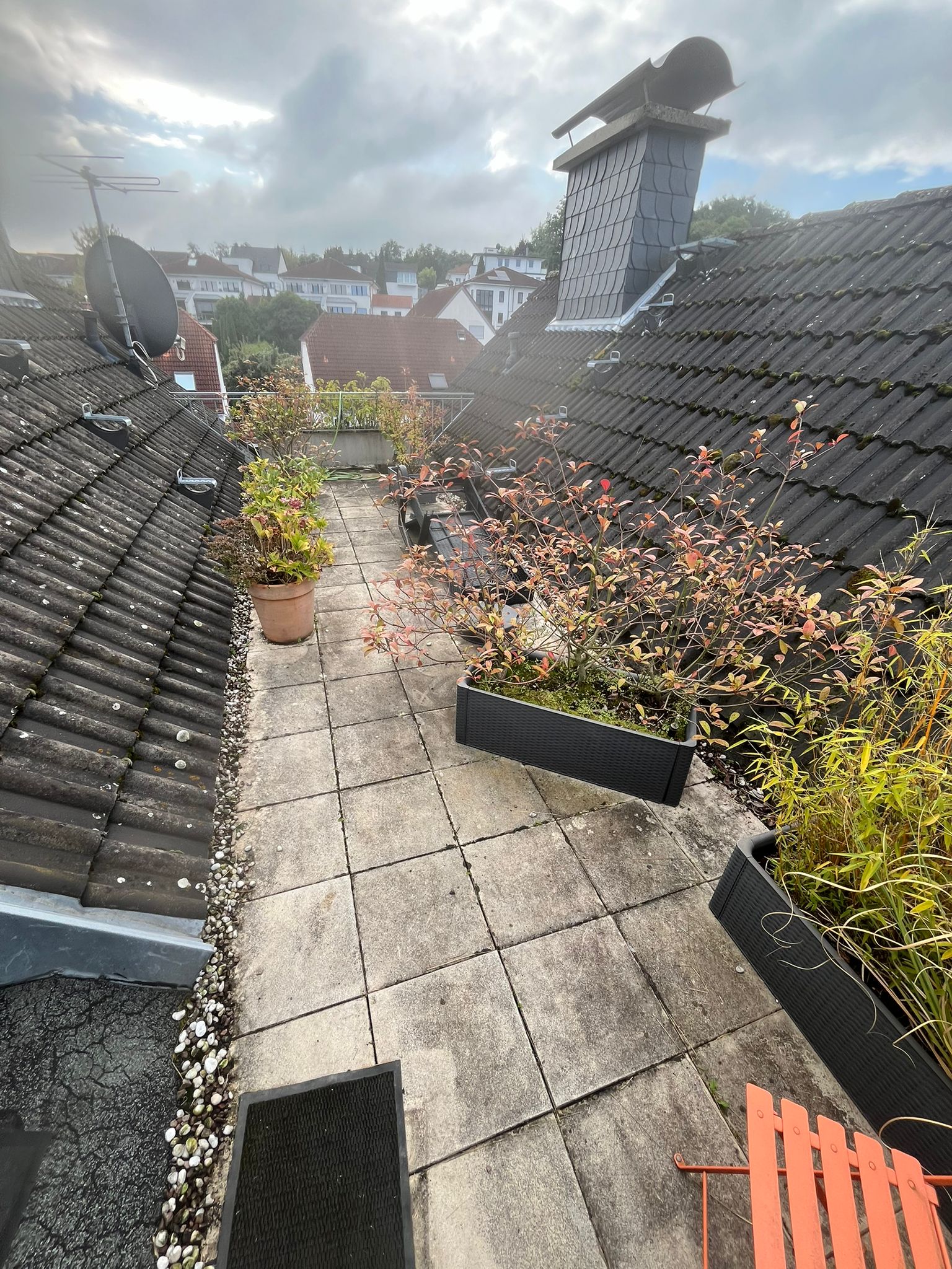 Dachterrasse vorher